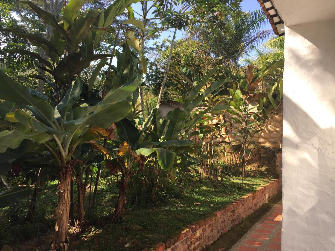 Hotel Casona Las Juanas San José de Pare Extérieur photo